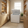 Géant Congélateur 260L